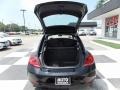 Black - Beetle 2.5L Photo No. 5