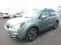 Jasmine Green Metallic 2017 Subaru Forester 2.5i Premium Exterior