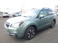 Jasmine Green Metallic 2017 Subaru Forester 2.5i Premium Exterior