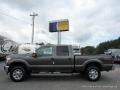 2016 Magnetic Metallic Ford F250 Super Duty XLT Crew Cab 4x4  photo #2