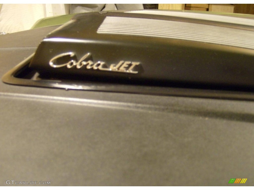 1970 Ford Torino Cobra SportsRoof Marks and Logos Photos
