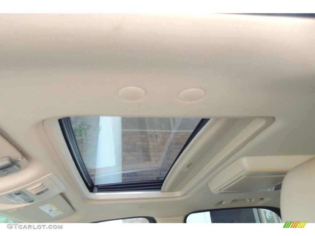 2010 Escalade Luxury AWD - Black Ice / Cashmere/Cocoa photo #12