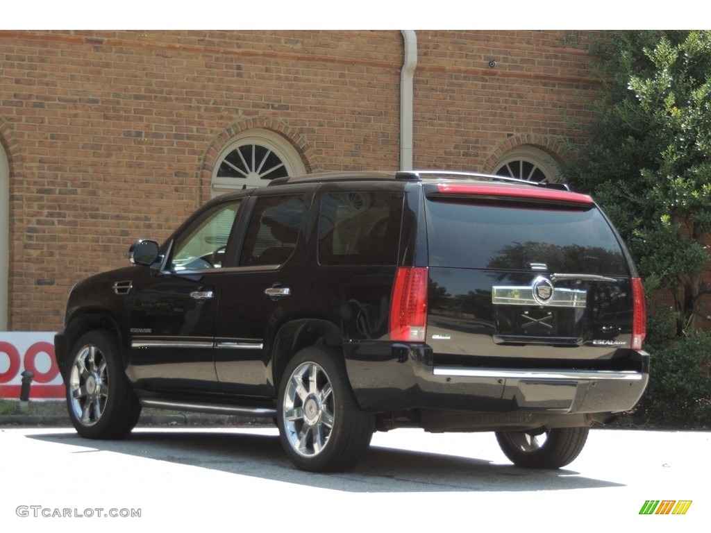 2010 Escalade Luxury AWD - Black Ice / Cashmere/Cocoa photo #28