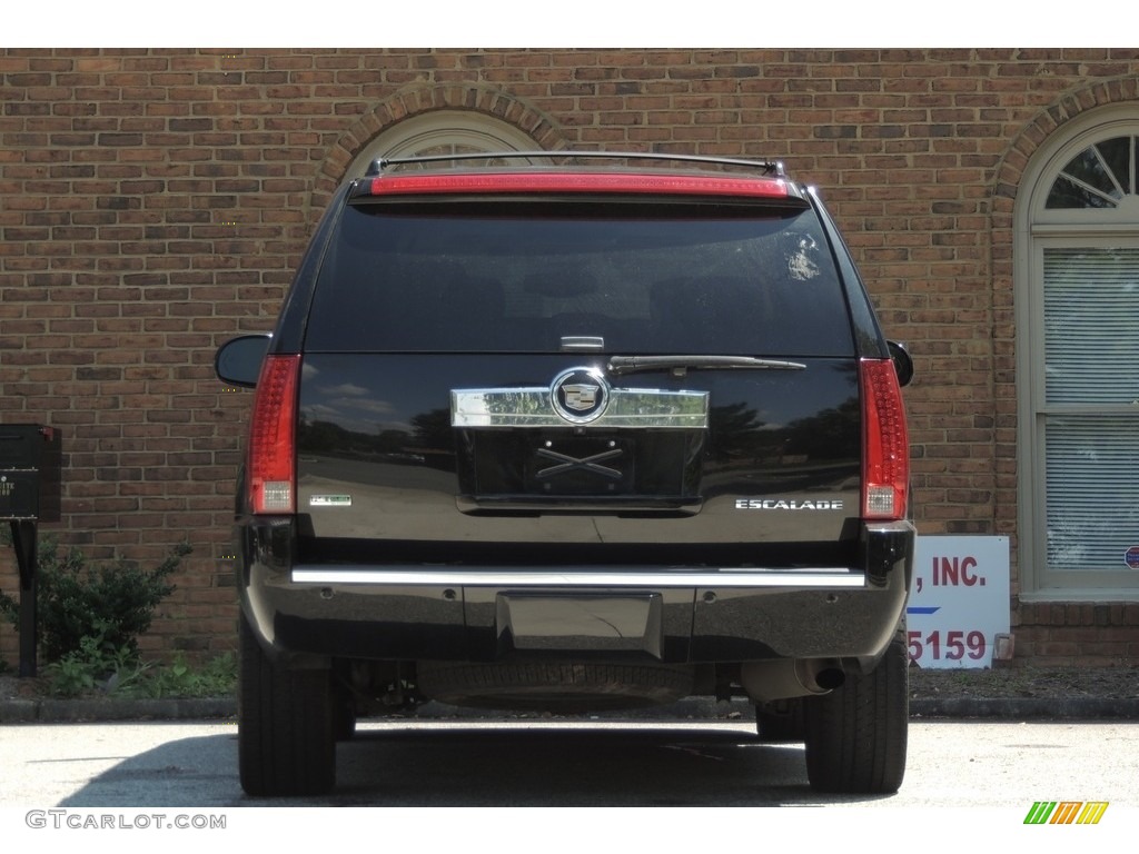 2010 Escalade Luxury AWD - Black Ice / Cashmere/Cocoa photo #29