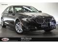 Jet Black - 5 Series 528i Sedan Photo No. 1