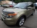 2013 Ginger Ale Metallic Ford Explorer Limited 4WD  photo #7