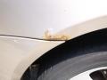 Golden Beige - Sonata GLS Photo No. 8