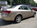 Golden Beige - Sonata GLS Photo No. 9
