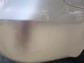 Golden Beige - Sonata GLS Photo No. 10