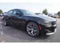 Pitch Black - Charger R/T Photo No. 4