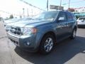 Steel Blue Metallic - Escape Limited V6 4WD Photo No. 2