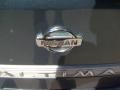 2001 Opal Blue Metallic Nissan Altima GXE  photo #10