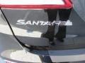 2017 Becketts Black Hyundai Santa Fe Limited Ultimate  photo #13