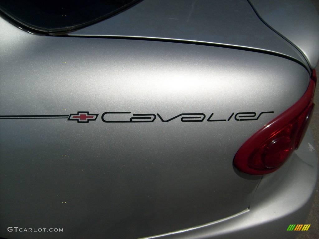 2004 Cavalier LS Sedan - Ultra Silver Metallic / Graphite photo #11