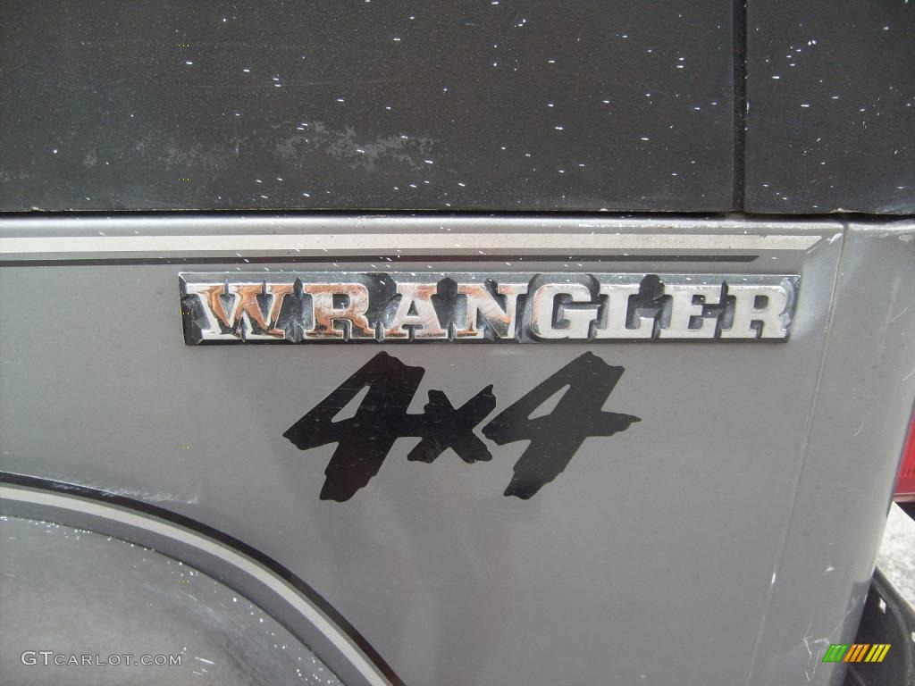 1991 Wrangler 4x4 - Dark Silver Metallic / Grey photo #11