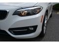 2016 Alpine White BMW 2 Series 228i xDrive Coupe  photo #29