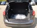 Magnetic - Focus SE Hatch Photo No. 4