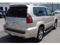 Savannah Beige Metallic - GX 470 Photo No. 5