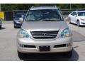 Savannah Beige Metallic - GX 470 Photo No. 8