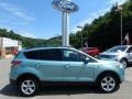 2013 Frosted Glass Metallic Ford Escape SE 1.6L EcoBoost  photo #1