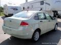 2011 Natural Neutral Metallic Ford Focus SE Sedan  photo #5