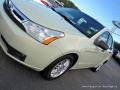 2011 Natural Neutral Metallic Ford Focus SE Sedan  photo #31