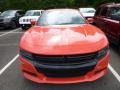 Go Mango - Charger R/T Photo No. 13