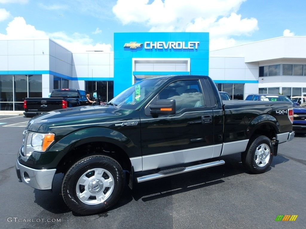 2013 F150 XLT Regular Cab 4x4 - Green Gem Metallic / Steel Gray photo #1