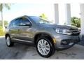Pepper Gray Metallic - Tiguan SE Photo No. 2