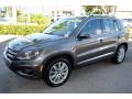 Pepper Gray Metallic - Tiguan SE Photo No. 3