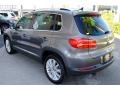 Pepper Gray Metallic - Tiguan SE Photo No. 4