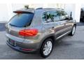 Pepper Gray Metallic - Tiguan SE Photo No. 7