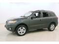 Black Forest Green Metallic - Santa Fe SE 4WD Photo No. 3