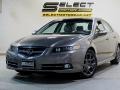 Polished Metal Metallic - TL 3.5 Type-S Photo No. 2