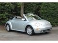 Reflex Silver Metallic - New Beetle GLS Convertible Photo No. 5