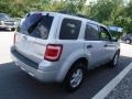 2009 Brilliant Silver Metallic Ford Escape XLT V6 4WD  photo #8