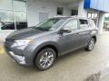 2016 Magnetic Gray Metallic Toyota RAV4 XLE  photo #3