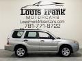 Crystal Gray Metallic - Forester 2.5 X Photo No. 6