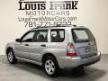 Crystal Gray Metallic - Forester 2.5 X Photo No. 19