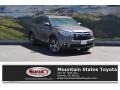 Predawn Gray Mica - Highlander XLE Photo No. 1