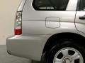 Crystal Gray Metallic - Forester 2.5 X Photo No. 38