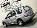 Crystal Gray Metallic - Forester 2.5 X Photo No. 110
