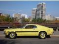 1970 Yellow Ford Mustang Sidewinder #115067449