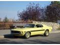 Yellow - Mustang Sidewinder Photo No. 2