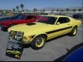 Yellow - Mustang Sidewinder Photo No. 3