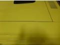 Yellow - Mustang Sidewinder Photo No. 7