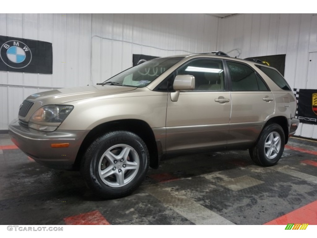 1999 RX 300 AWD - Burnished Gold Metallic / Ivory photo #2