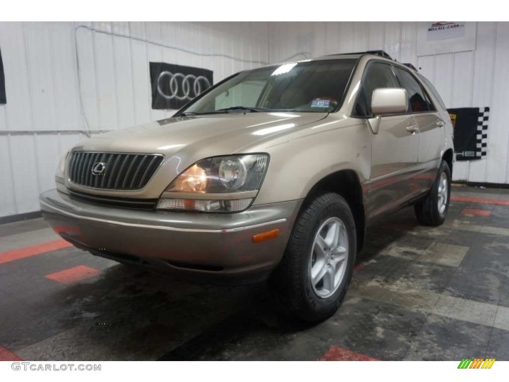 1999 RX 300 AWD - Burnished Gold Metallic / Ivory photo #3