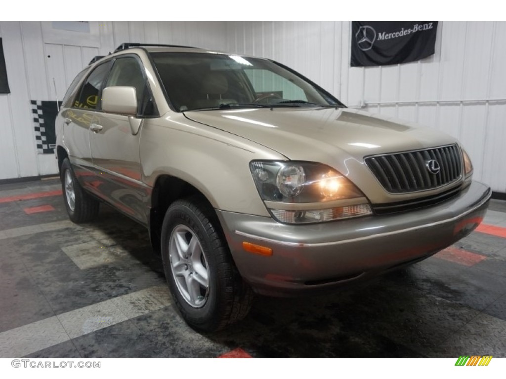 1999 RX 300 AWD - Burnished Gold Metallic / Ivory photo #5