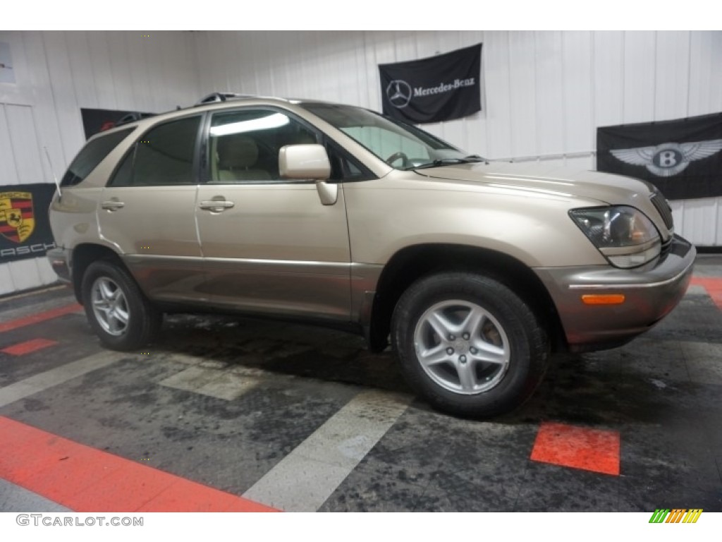 1999 RX 300 AWD - Burnished Gold Metallic / Ivory photo #6